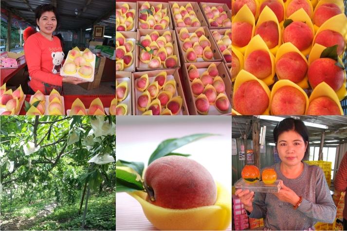Taipei, Taoyuan, Kaohsiung, Pingtung Itinerary Reference